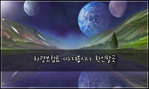 차량보험료 따져봅시다 확인할곳