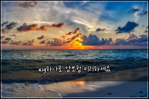 aig하나로 암보험 미리하세요 