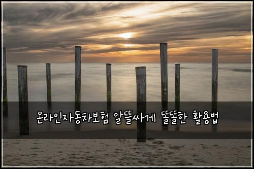 ์จ๋ผ์ธ์๋์ฐจ๋ณดํ ์๋ฐ์ธ๊ฒ ๋๋ํ ํ์ฉ๋ฒ