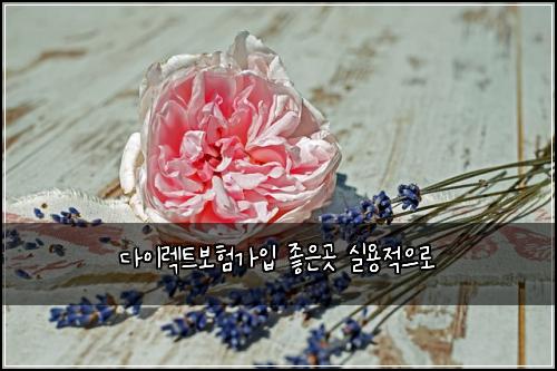 다이렉트보험가입 좋은곳 실용적으로