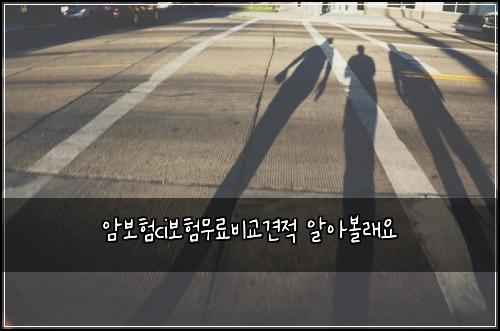 암보험ci보험무료비교견적 알아볼래요