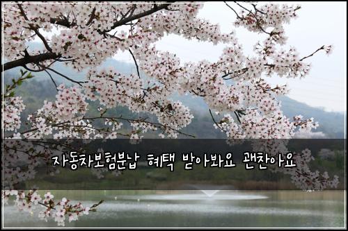 자동차보험분납 혜택 받아봐요 괜찬아요