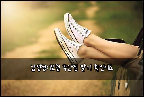 남성정기보험 주안점  알기 확인이요