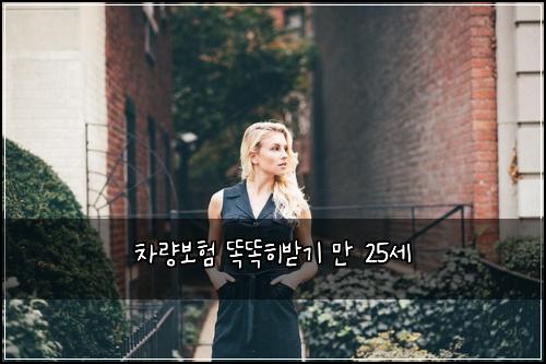 차량보험 똑똑히받기  만 25세