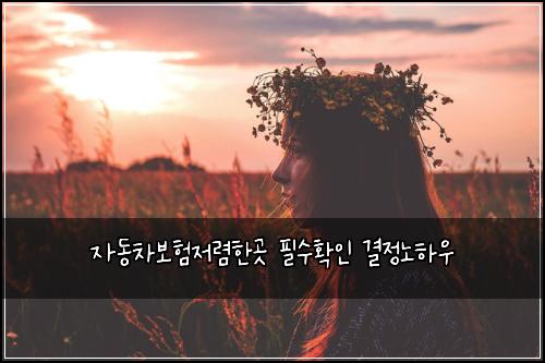 자동차보험저렴한곳 필수확인 결정노하우