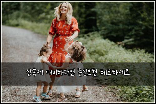 상속세 대비하려면 종신보험 체크하세요