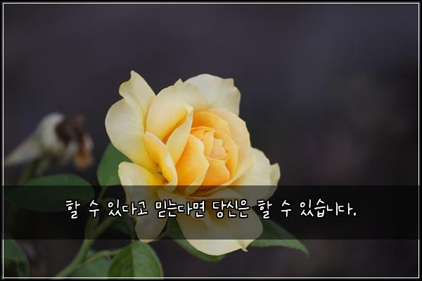 할 수 있다고 믿는다면 당신은 할 수 있습니다.