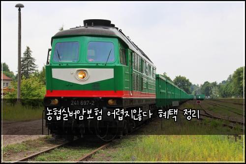 농협실버암보험 어렵지않다  혜택 정리