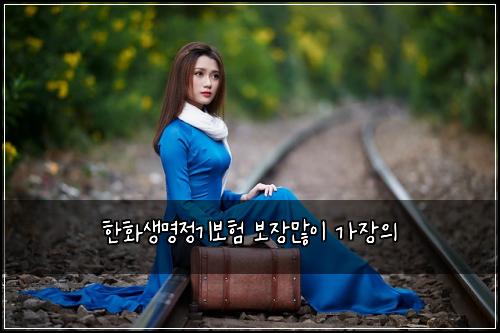 한화생명정기보험 보장많이  가장의