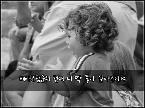 태아보험순위 현대 너 딱 좋아 알아보아여