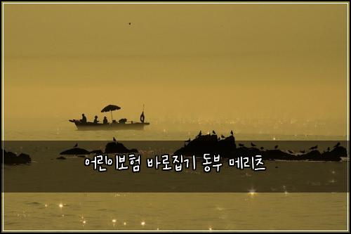 어린이보험 바로집기  동부 메리츠
