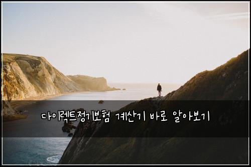 다이렉트정기보험 계산기  바로 알아보기