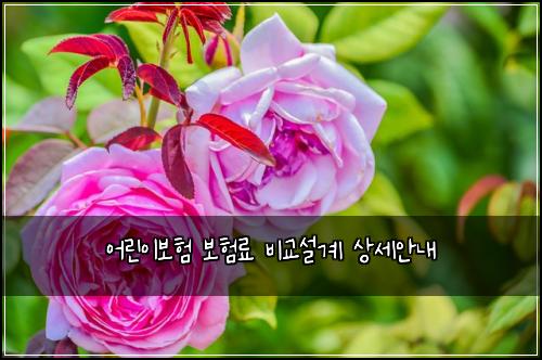 어린이보험 보험료 비교설계 상세안내