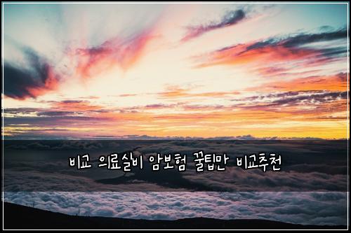 비교 의료실비 암보험 꿀팁만  비교추천