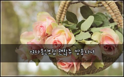 여자종신보험 괜찮쥬  쌍용자녀