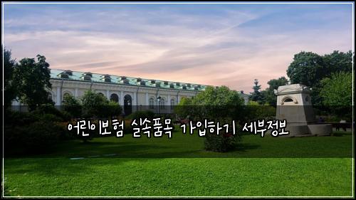 어린이보험 실속품목  가입하기 세부정보