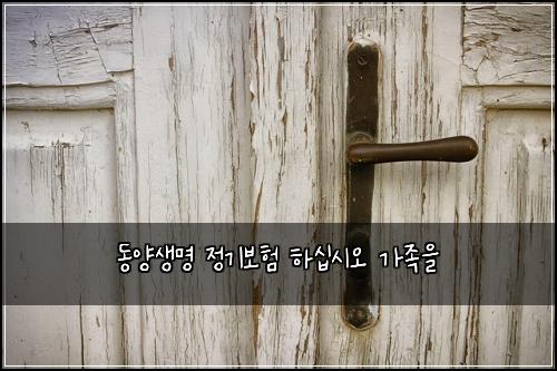 동양생명 정기보험 하십시오  가족을