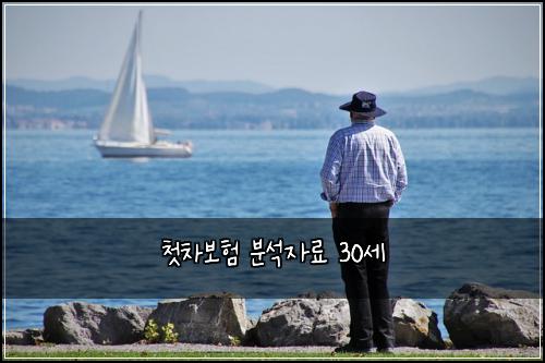 첫차보험 분석자료  30세