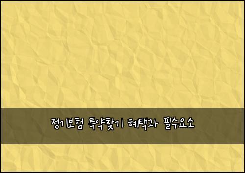 정기보험 특약찾기  혜택과 필수요소