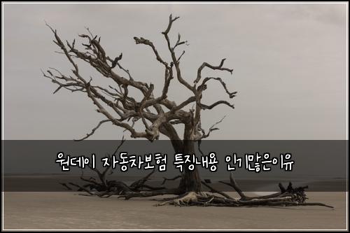 원데이 자동차보험 특징내용  인기많은이유