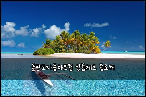 올란도자동차보험 상품체크  중요해