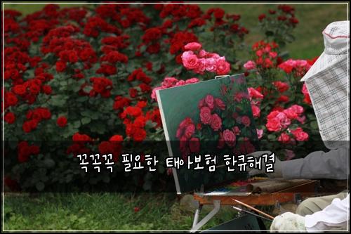 ๊ผญ๊ผญ๊ผญ ํ์ํ ํ์๋ณดํ ํํํด๊ฒฐ