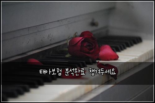 태아보험 분석완료  챙겨두세요