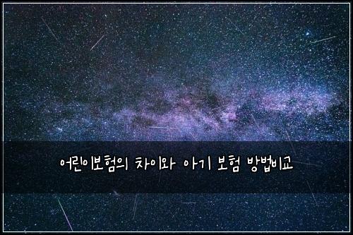 ์ด๋ฆฐ์ด๋ณดํ์ ์ฐจ์ด์ ์๊ธฐ ๋ณดํ ๋ฐฉ๋ฒ๋น๊ต