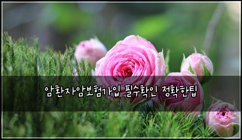암환자암보험가입 필수확인 정확한팁