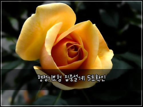 ํ์ ๊ธฐ๋ณดํ ์ง์ค์ค๊ณ 5์ดํ์ธ