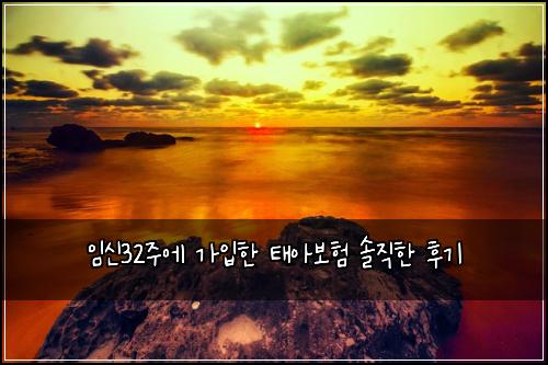 임신32주에 가입한 태아보험 솔직한 후기