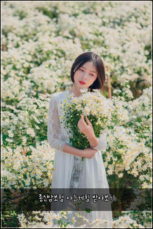 종신암보험 아는게힘  받아보기