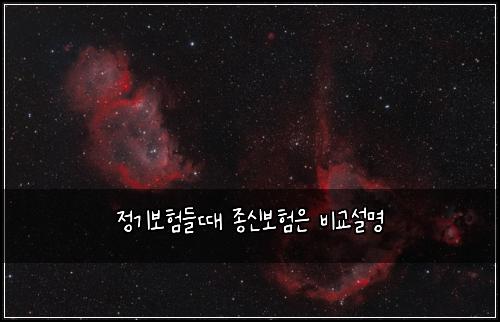 정기보험들때 종신보험은 비교설명