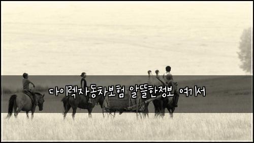 다이렉자동차보험 알뜰한정보  여기서