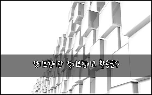 정기보험이란 정기보험비교 활용필수