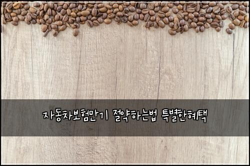 ์๋์ฐจ๋ณดํ๋ง๊ธฐ ์ ์ฝํ๋๋ฒ ํน๋ณํํํ