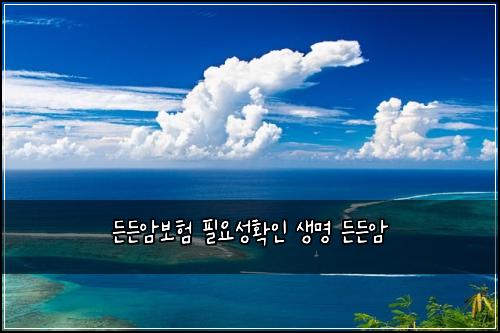 ๋ ๋ ์๋ณดํ ํ์์ฑํ์ธ ์๋ช
๋ ๋ ์