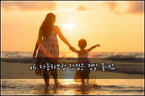 a6 자동차보험 장점은  정말 좋네요