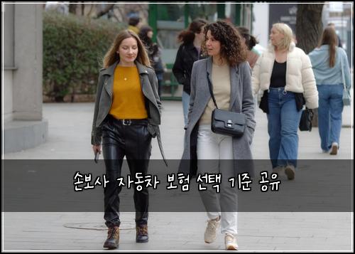 손보사 자동차 보험 선택 기준 공유