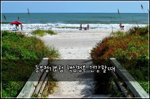 동부정기보험 핵심정복  건강할때