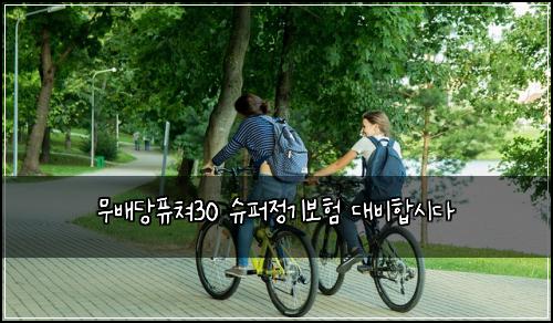 무배당퓨쳐30 슈퍼정기보험 대비합시다 