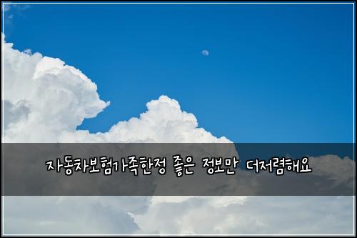 자동차보험가족한정 좋은 정보만 더저렴해요