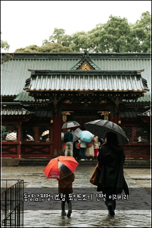 동양남편정기보험 포인트보기  견적 미리미리