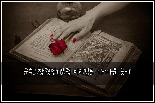 순수보장형정기보험 미리검토  가까운 곳에