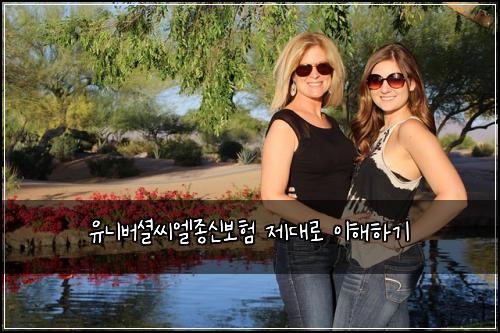 유니버셜씨엘종신보험 제대로 이해하기