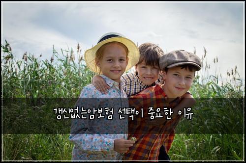 갱신없는암보험 선택이 중요한 이유