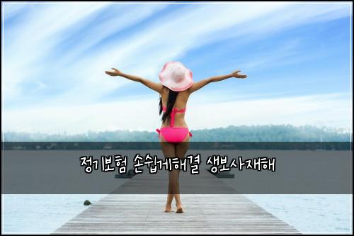 정기보험 손쉽게해결  생보사재해