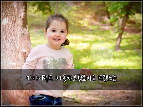 ์นด๋ค์ด๋ ํธ ์๋์ฐจ๋ณดํ๋ฃ๋น๊ต ํธ๋ ๋๋