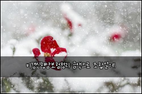 비갱신형암보험정리 금액으로 조합설계