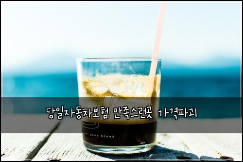 당일자동차보험 만족스런곳  가격파괴